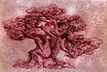 Bonsai is depicted on old paper. Ancient tree. Vintage drawing.