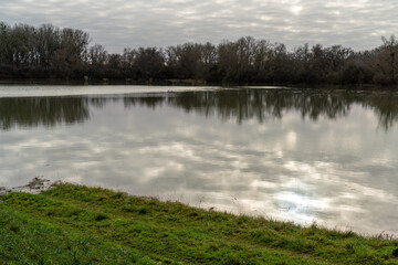 Fototapeta premium Hochwasser am Rhein in Südhessen