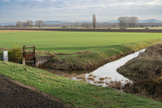 Felder im Hessischen Ried im Winter