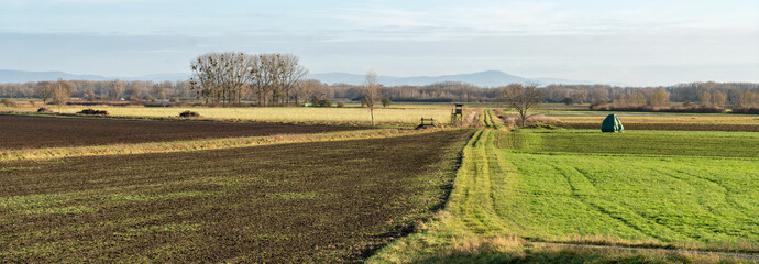 Felder im Hessischen Ried im Winter