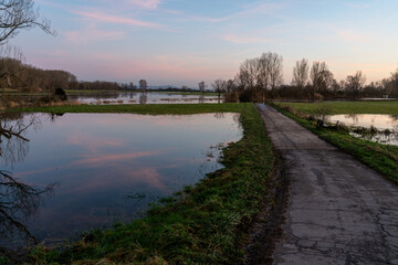 Fototapeta na wymiar Hochwasser am Rhein in Südhessen