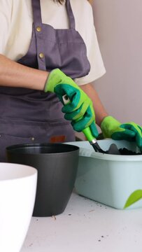 Close up view of young adult woman planting some cuttings of golden pothos or Epipremnum aureum at home. Hobbies and domestic lifestyle concept. Vertical 9:16 aspect footage.