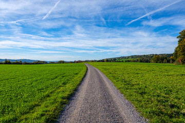 Fototapeta na wymiar Meadow landscape with gravel road - Sempach, Switzerland