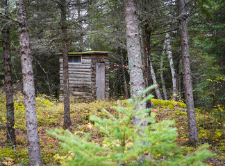 old wooden outhouse in the forest