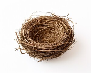 Obraz premium Empty bird nest isolated on white background