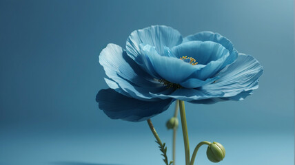 flower on blue