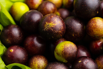 camu camu fruits, Myrciaria dubia, exotic fruit from the Amazon that grows on the banks of rivers, it is highly appreciated for its flavor, it is considered the fruit with the most vitamin C
