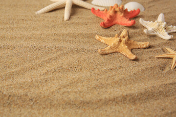 Beautiful sea stars on sand, space for text
