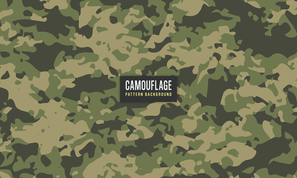 vector army and military camouflage texture pattern background