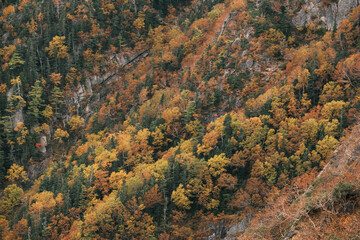 秋の山岳風景