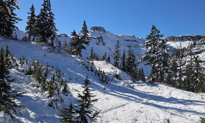 Fototapeta na wymiar First snow on Mount Baker in November
