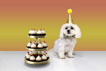 Birthday Party time dogs and cakes, cupcakes, and candy