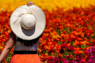 Girl standing in field of colorful flowers