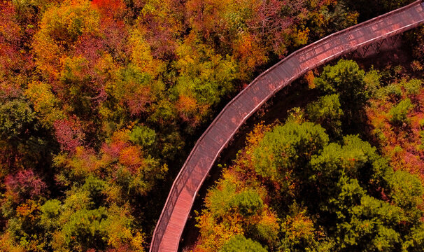 Winding autumn bridge 