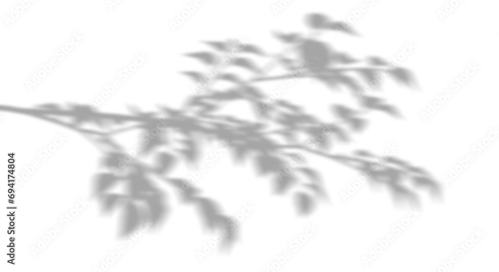 Poster tree branch shade shadow cutout transparent backgrounds 3d render png