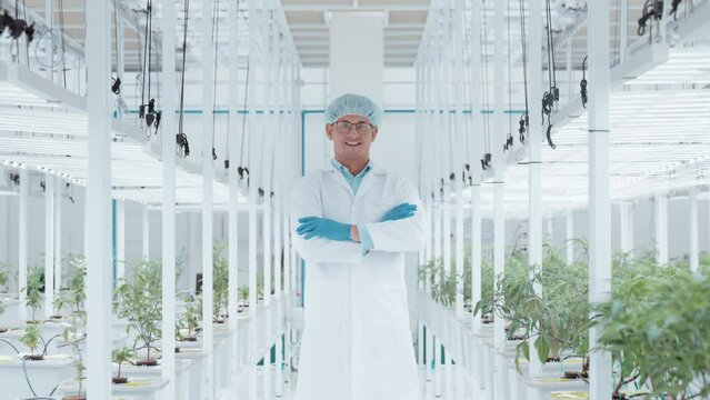 Botanist man people standing arm cross smile looking at camera in indoor plant vertical smart farm STEM job career grow green herb hemp crop weed field. Botany modern biology herbal biotech college.