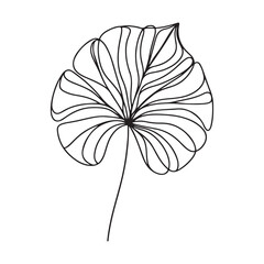 aesthetic decorative line art illustration of leaf, floral