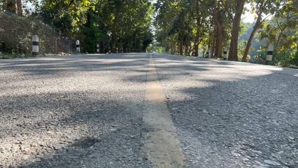 road in the woods