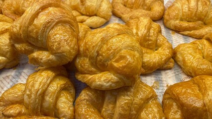 croissant on a white background
