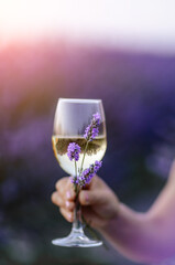 Glass white wine lavender field. Woman hand holds a glass with lavander and wine in the Lavender field at sunset Violet flowers on the background.. Conscious consumption. Wellness and natural concept