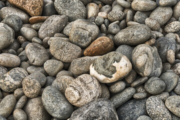 Riverbed Pebbles Texture and background