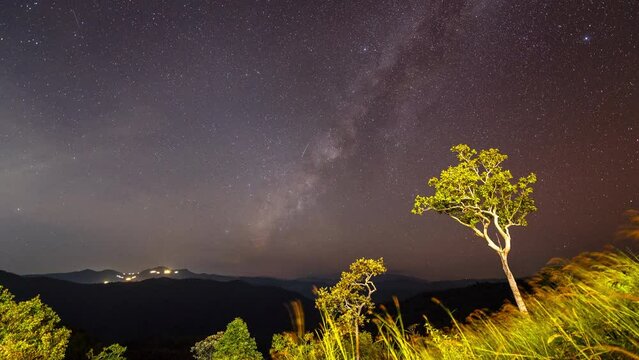 Time lapse of milky way galaxy with tree and mountains at Huai Kup Kap village, Chiang mai, Thailand.
