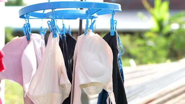 Underwear drying in the sun after washing