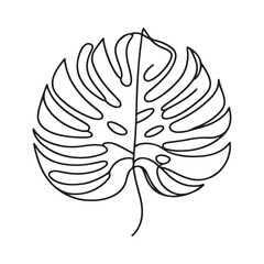 aesthetic decorative line art illustration of leaf, floral