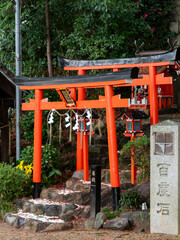 鮮やかな朱色の稲荷神社鳥居