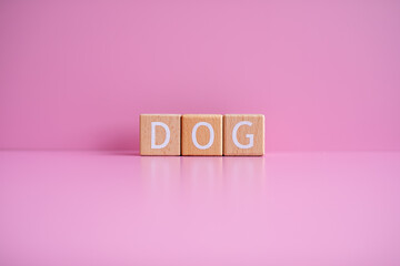 Wooden blocks form the text DOG against a pink background