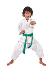 african american boy in karate suit training, mixed race , uniform karate gi , keikogi or dogi, suit is white, he is mixed race with braids, dreadlocks, isolated on white background © poco_bw