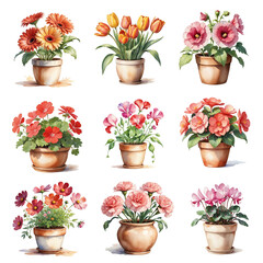 Collection of red tone flowers in ceramic pot on white background, watercolor painting style, generative ai