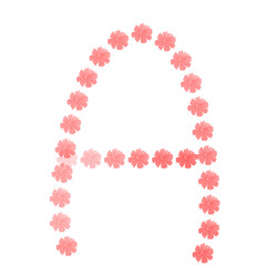 frame made from flowers