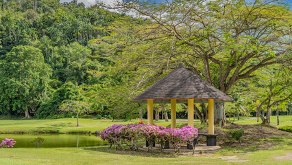 A gazebo for relaxing is set in a tropical garden next to the lake. Conical roof on columns. Bright pink bougainvilleas bloom on the lawn. Sprawling trees, green vegetation all around. Malaysia.