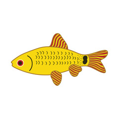 Cartoon Vector illustration gold chinise barb fish icon Isolated on White Background