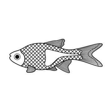 Hand drawn Cartoon Vector illustration harlequin rasbora fish icon Isolated on White Background