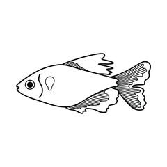 Hand drawn Cartoon Vector illustration serpae tetra fish icon Isolated on White Background