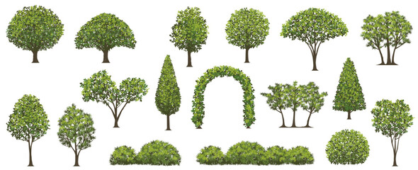 Vector Trees And Shrubs Illustration Set Isolated On A White Background.  - obrazy, fototapety, plakaty