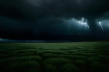 Türaufkleber storm over the field © Tanveer