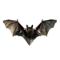 Flying bat on white or transparent background - obrazy, fototapety, plakaty
