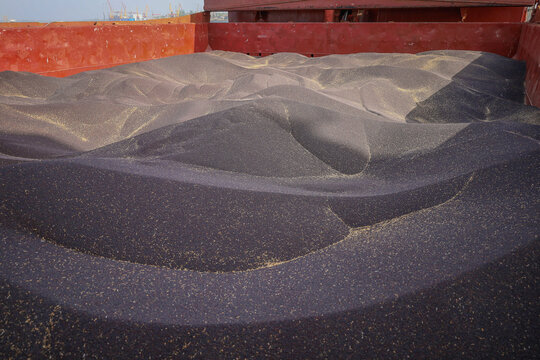 Stowage of rape seeds in bulk in cargo hold of general cargo ship