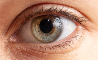 Fototapeta premium Close-up of a girl's eyes. Macro