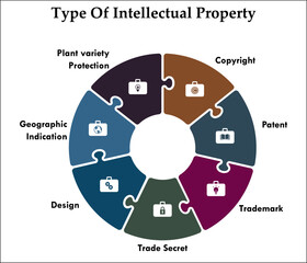 Types of Intellectual property - Copyright, patent, Trademark, Trade secret, Design, geographic indication, Plant variety protection. Infographic template with icons