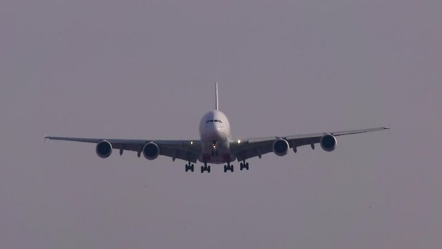 Airline Jets at airport