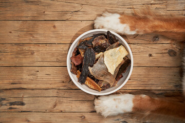 A dog's paws frame a bowl of treats on a wooden floor, expressing eagerness. The image captures a...