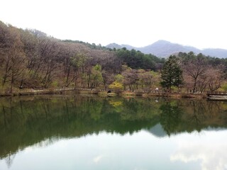 국립수목원 수려한 봄풍경 - Spring scenery (Yukrim lake, Gwangneung forest, Korea National Arboretum, South Korea)