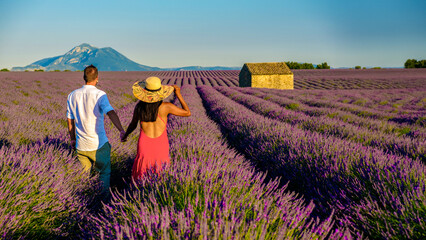 a colorful field of Lavender in bloom Provence Southern France Couple men and women on vacation at...