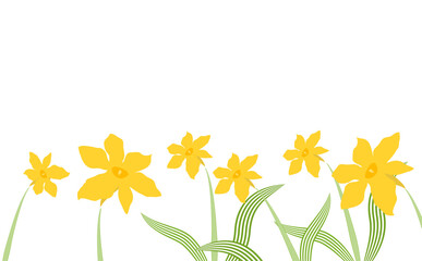 黄色いスイセンの花のフレームイラスト素材 - obrazy, fototapety, plakaty