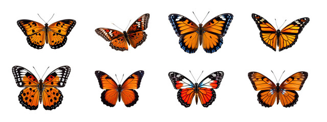 Set of graceful Butterfly on Transparent Background