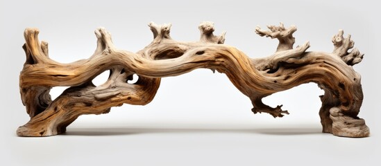 The aged appearance of the wooden railing resembled an ancient tree.